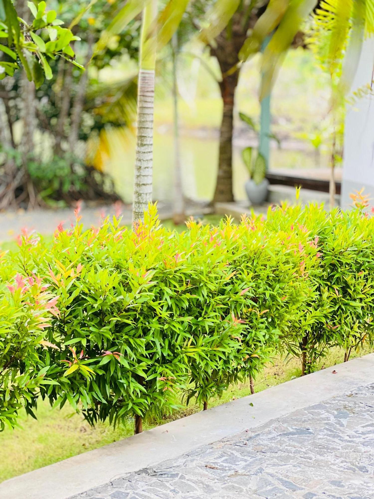 Water'S Edge Villa อาฮานกามา ภายนอก รูปภาพ