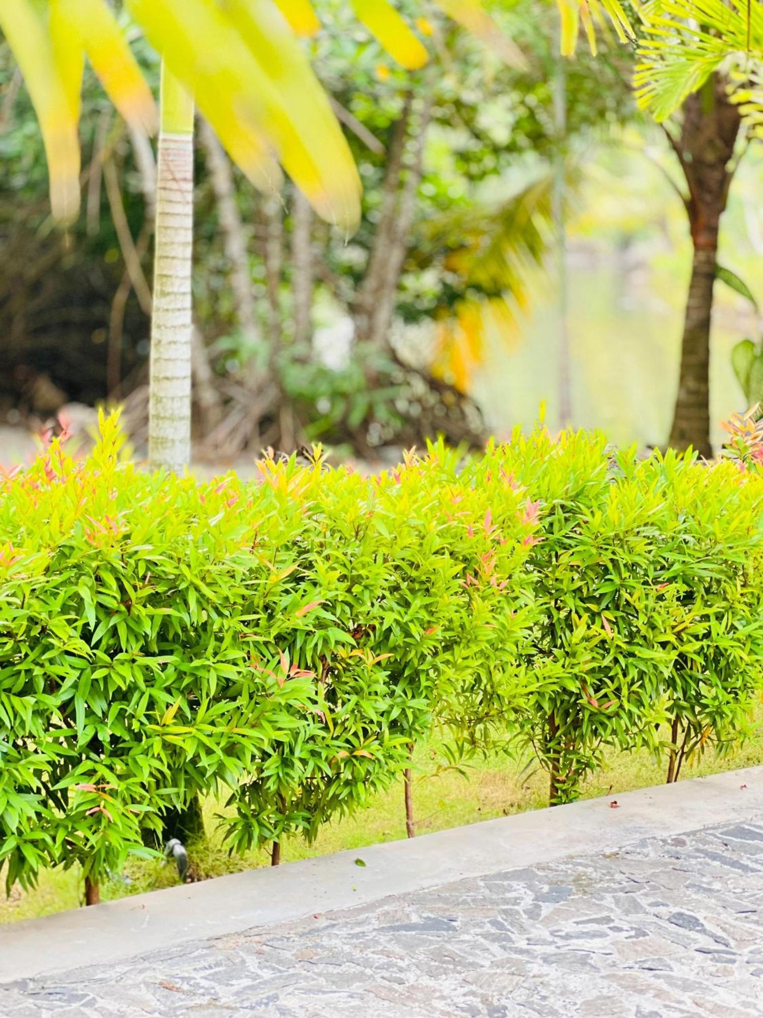 Water'S Edge Villa อาฮานกามา ภายนอก รูปภาพ
